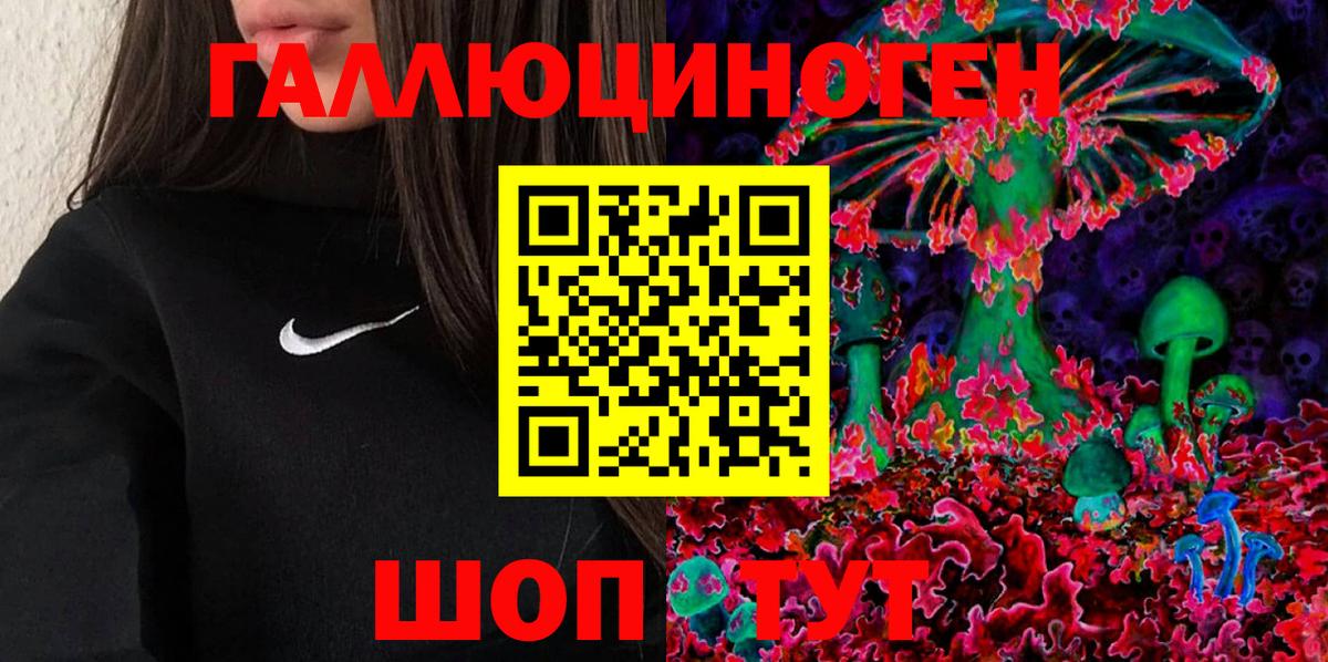 где можно купить наркотик  Вход с VPN  Анжеро-Судженск  Галлюциногенные грибы мицелий 