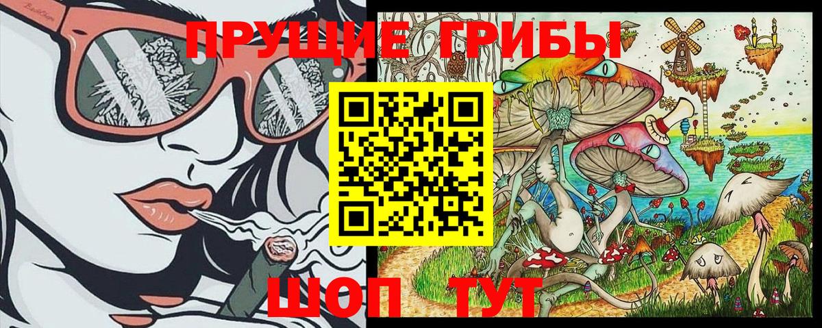 Псилоцибиновые грибы Cubensis Анжеро-Судженск