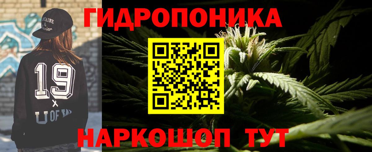 Шишки марихуана планчик Анжеро-Судженск